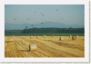 2005-07-13 07-58-20 Juillet 105,0mm 1_500_eme F6,3 * 3008 x 2000 * (2.49MB)